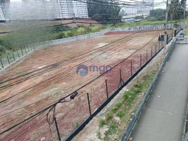 Terreno aluguel em Raposo Tavares, São Paulo