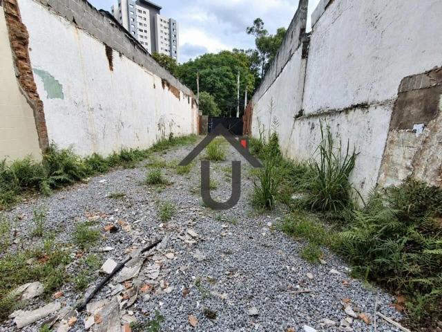 Terreno aluguel em Rio Pequeno, São Paulo