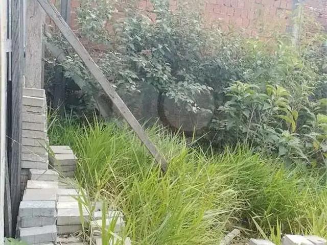 Terreno aluguel em Região Imediata de São Paulo, Região Metropolitana de São Paulo