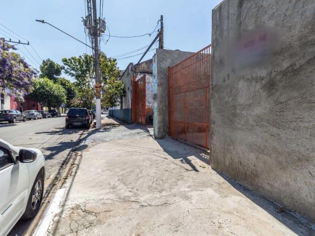 Terreno aluguel em Cambuci, São Paulo