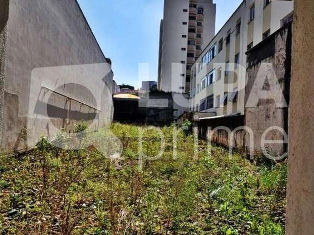 Terreno aluguel em Santana, São Paulo