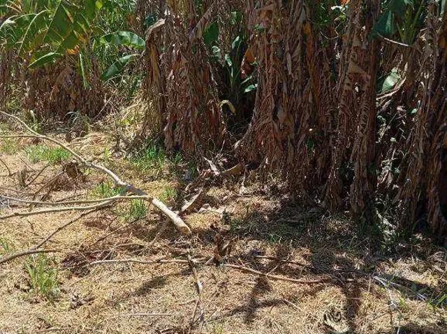Terreno aluguel em Região Imediata de São Paulo, Região Metropolitana de São Paulo