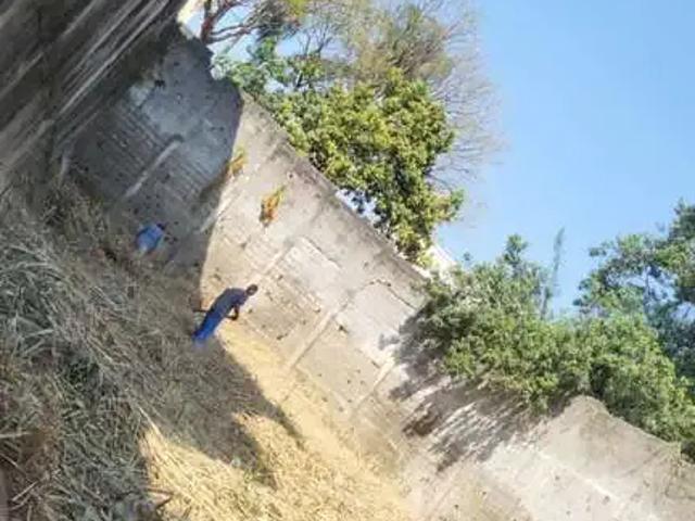 Terreno aluguel em Região Imediata de São Paulo, Região Metropolitana de São Paulo