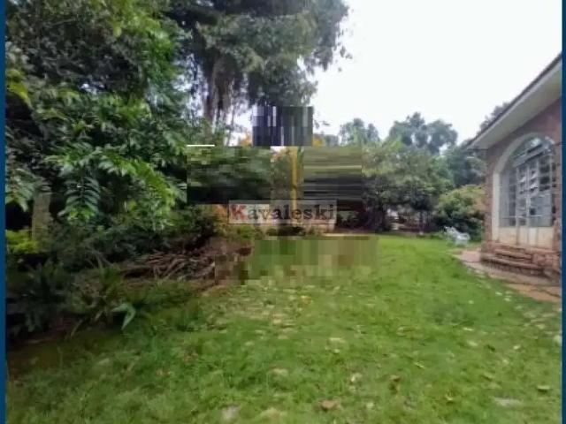 Terreno aluguel em Região Imediata de São Paulo, Região Metropolitana de São Paulo
