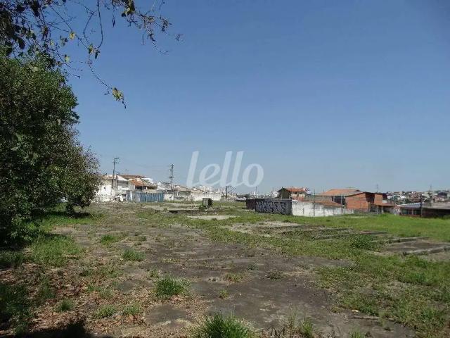 Terreno aluguel em Região Imediata de São Paulo, Região Metropolitana de São Paulo