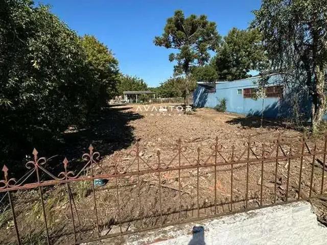 Terreno aluguel em Região Geográfica Imediata de Santa Maria, Santa Maria