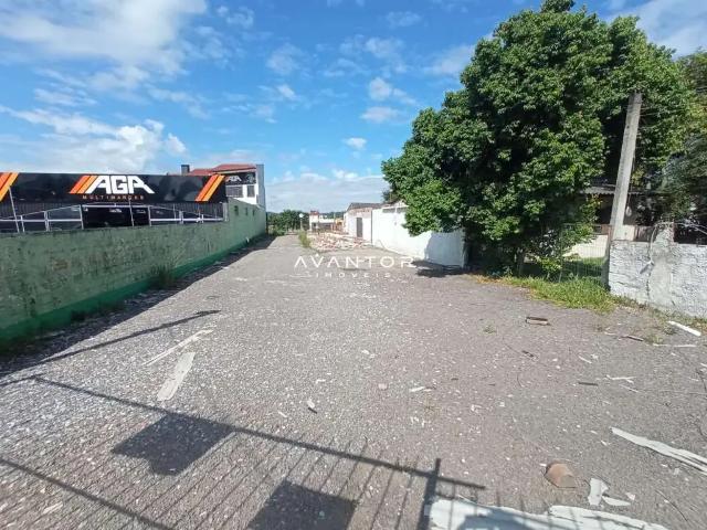 Terreno aluguel em Região Geográfica Imediata de Santa Maria, Santa Maria