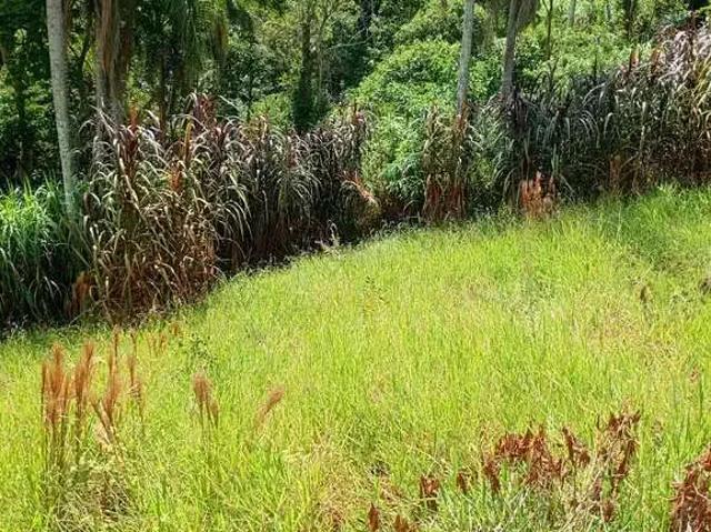 Terreno aluguel em Região Imediata de São Paulo, Região Metropolitana de São Paulo