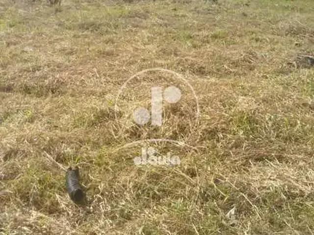 Terreno aluguel em Região Imediata de São Paulo, Região Metropolitana de São Paulo