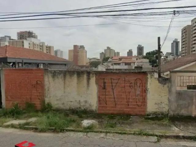 Terreno aluguel em Vila Floresta, Santo André