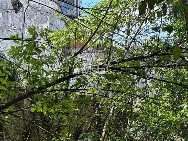 Terreno aluguel em Santos, Região Geográfica Intermediária de São Paulo