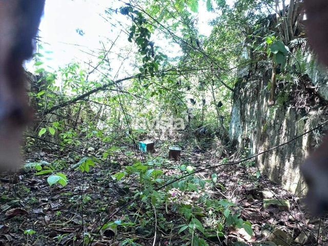 Terreno aluguel em Santos, Região Geográfica Intermediária de São Paulo