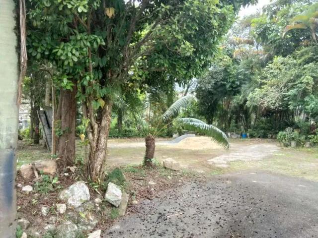 Terreno aluguel em Região Imediata de Santos, Região Metropolitana da Baixada Santista