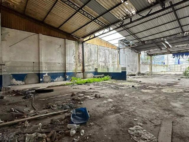 Terreno aluguel em Santos