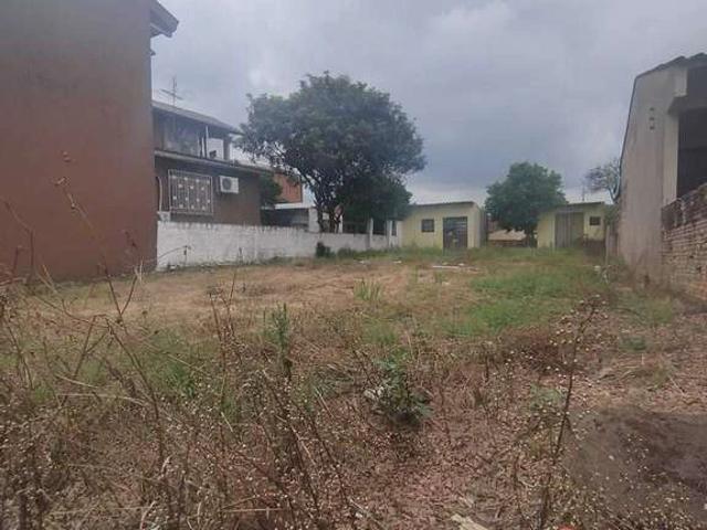 Terreno aluguel em Região Geográfica Imediata de Porto Alegre, Região Metropolitana de Porto Alegre
