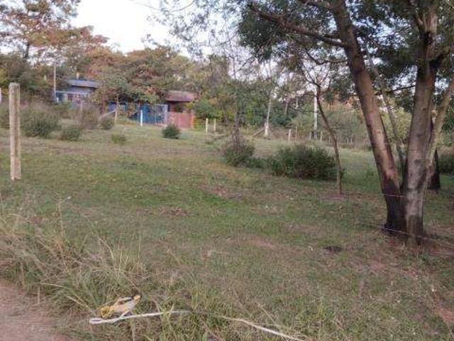 Terreno aluguel em Sapucaia do Sul
