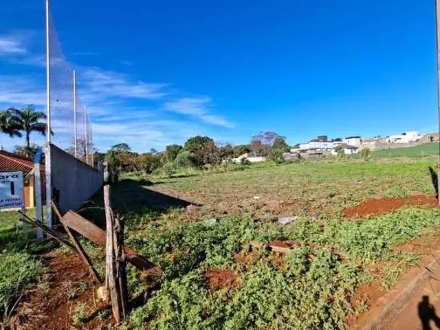 Terreno aluguel em Região Geográfica Imediata de Maringá, Sarandi