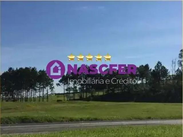 Terreno aluguel em Diadema