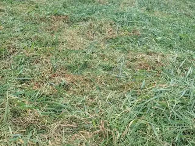 Terreno aluguel em Sorocaba