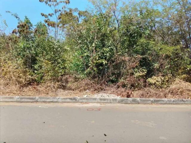 Terreno aluguel em Região Geográfica Imediata de Teresina, Região Integrada de Desenvolvimento da Grande Teresina