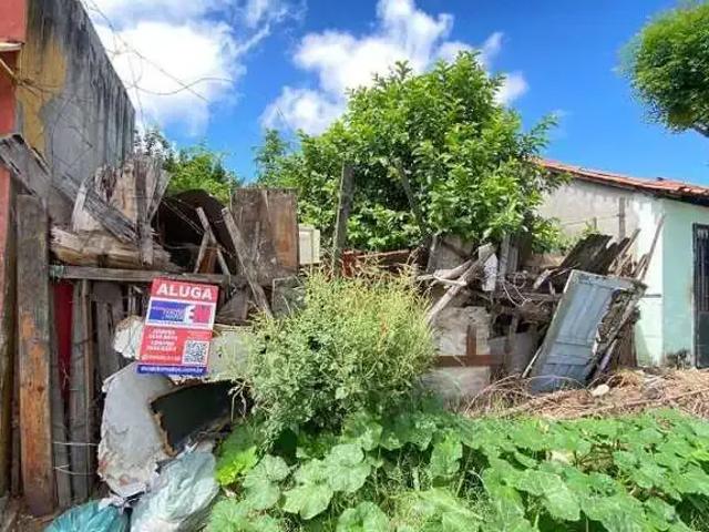 Terreno aluguel em Região Geográfica Imediata de Teresina, Região Integrada de Desenvolvimento da Grande Teresina