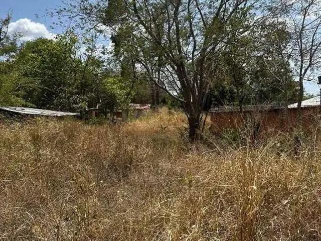 Terreno aluguel em Região Geográfica Imediata de Teresina, Região Integrada de Desenvolvimento da Grande Teresina