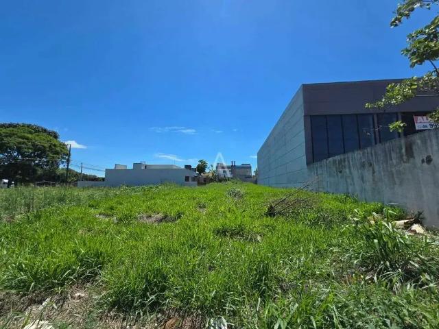 Terreno aluguel em Região Geográfica Imediata de Toledo, Toledo