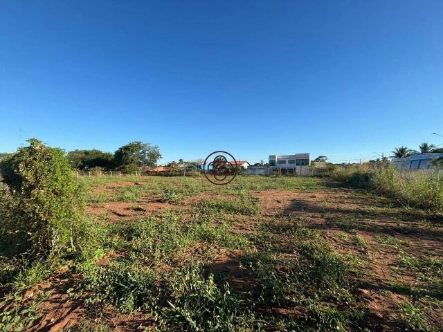 Terreno aluguel em Região Geográfica Imediata de Três Lagoas, Angélica
