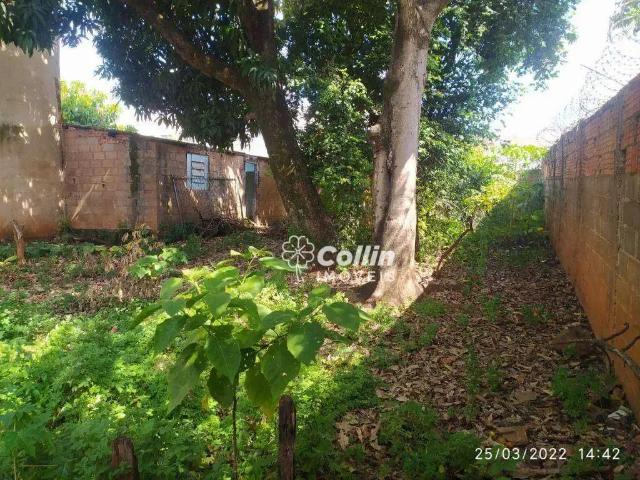 Terreno aluguel em Região Geográfica Imediata de Uberaba, Uberaba