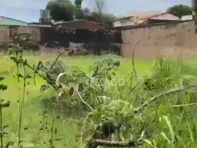 Terreno aluguel em Região Geográfica Imediata de Uberaba, Uberaba