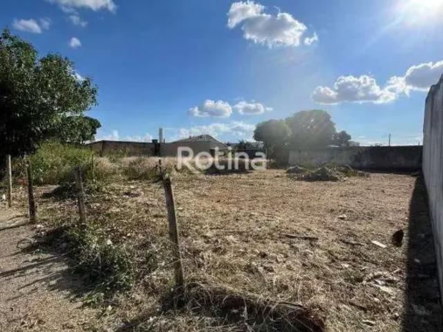 Terreno aluguel em Região Geográfica Imediata de Uberlândia, Oliveira Fortes