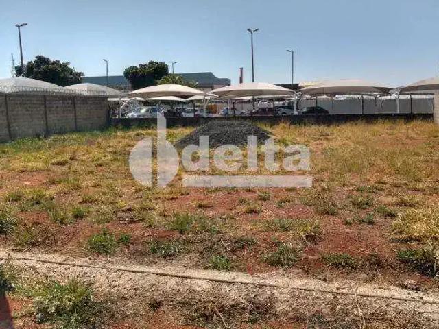 Terreno aluguel em Região Geográfica Imediata de Uberlândia, Oliveira Fortes