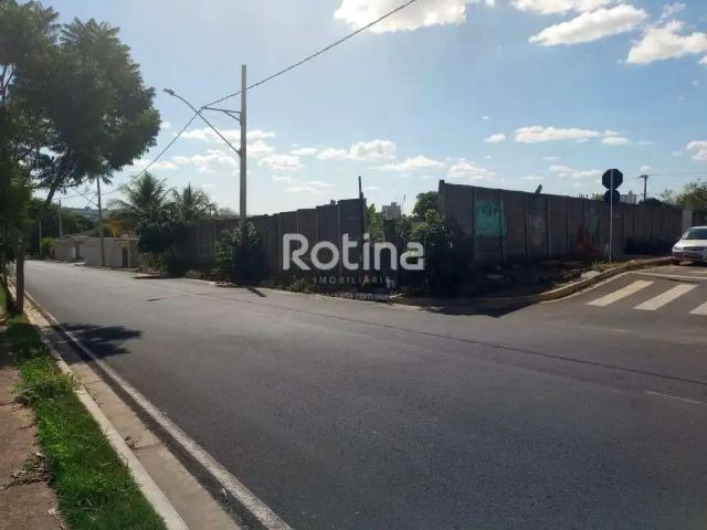 Terreno aluguel em Região Geográfica Imediata de Uberlândia, Oliveira Fortes