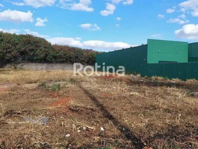 Terreno aluguel em Região Geográfica Imediata de Uberlândia, Oliveira Fortes