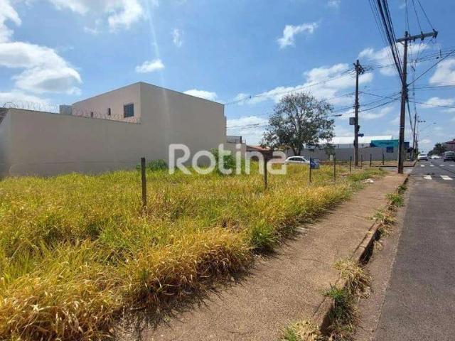 Terreno aluguel em Alto Umuarama, Uberlândia