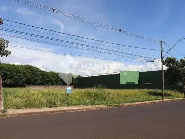 Terreno aluguel em Região Geográfica Imediata de Uberlândia, Oliveira Fortes