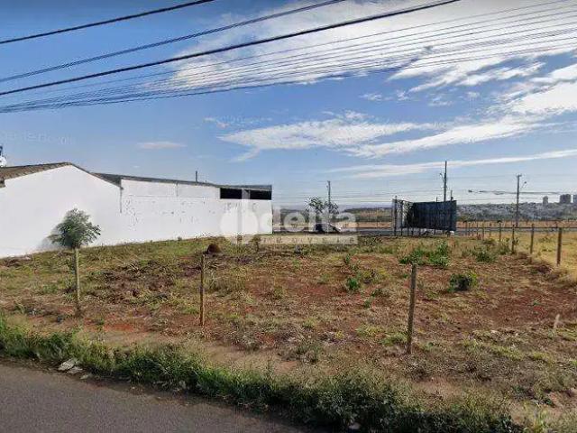 Terreno aluguel em Região Geográfica Imediata de Uberlândia, Oliveira Fortes