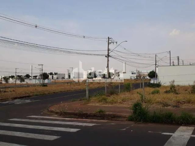 Terreno aluguel em Custódio Pereira, Uberlândia