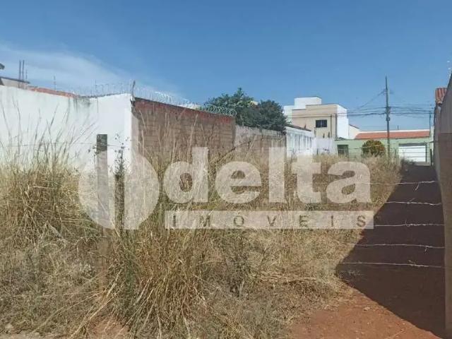 Terreno aluguel em Região Geográfica Imediata de Uberlândia, Oliveira Fortes