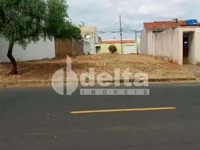 Terreno aluguel em Região Geográfica Imediata de Uberlândia, Oliveira Fortes