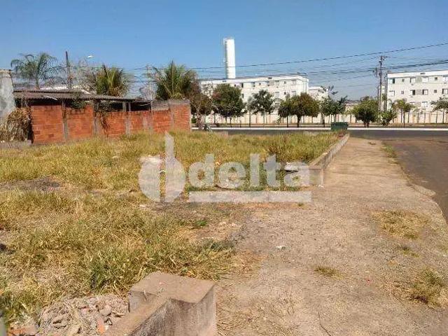 Terreno aluguel em Região Geográfica Imediata de Uberlândia, Oliveira Fortes