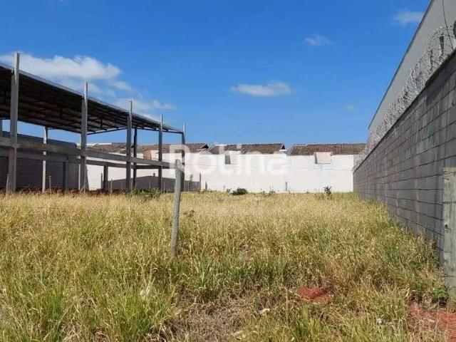 Terreno aluguel em Região Geográfica Imediata de Uberlândia, Oliveira Fortes