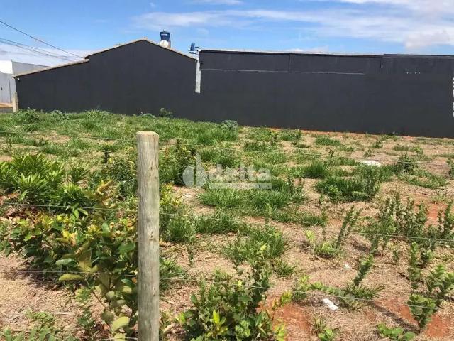 Terreno aluguel em Região Geográfica Imediata de Uberlândia, Oliveira Fortes