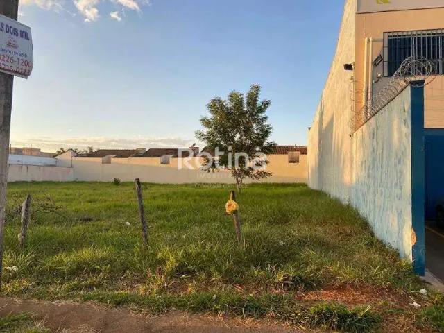Terreno aluguel em Região Geográfica Imediata de Uberlândia, Oliveira Fortes