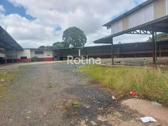 Terreno aluguel em Região Geográfica Imediata de Uberlândia, Oliveira Fortes