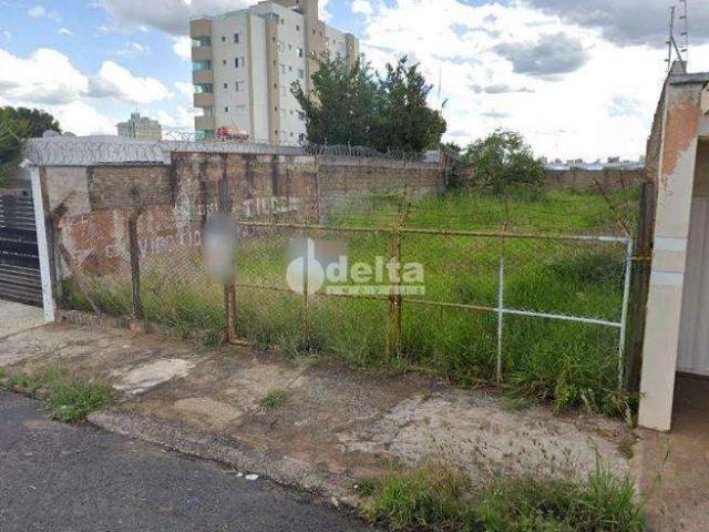 Terreno aluguel em Setor Central, Uberlândia