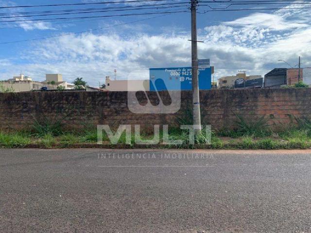 Terreno aluguel em Mansões Aeroporto, Uberlândia