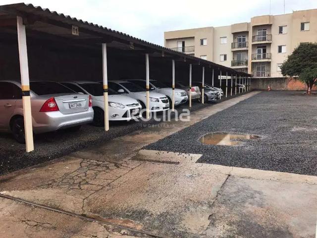 Terreno aluguel em Região Geográfica Imediata de Uberlândia, Oliveira Fortes