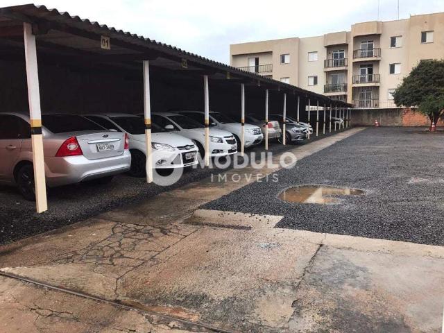 Terreno aluguel em Setor Central, Uberlândia