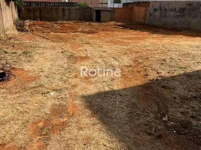 Terreno aluguel em Região Geográfica Imediata de Uberlândia, Oliveira Fortes